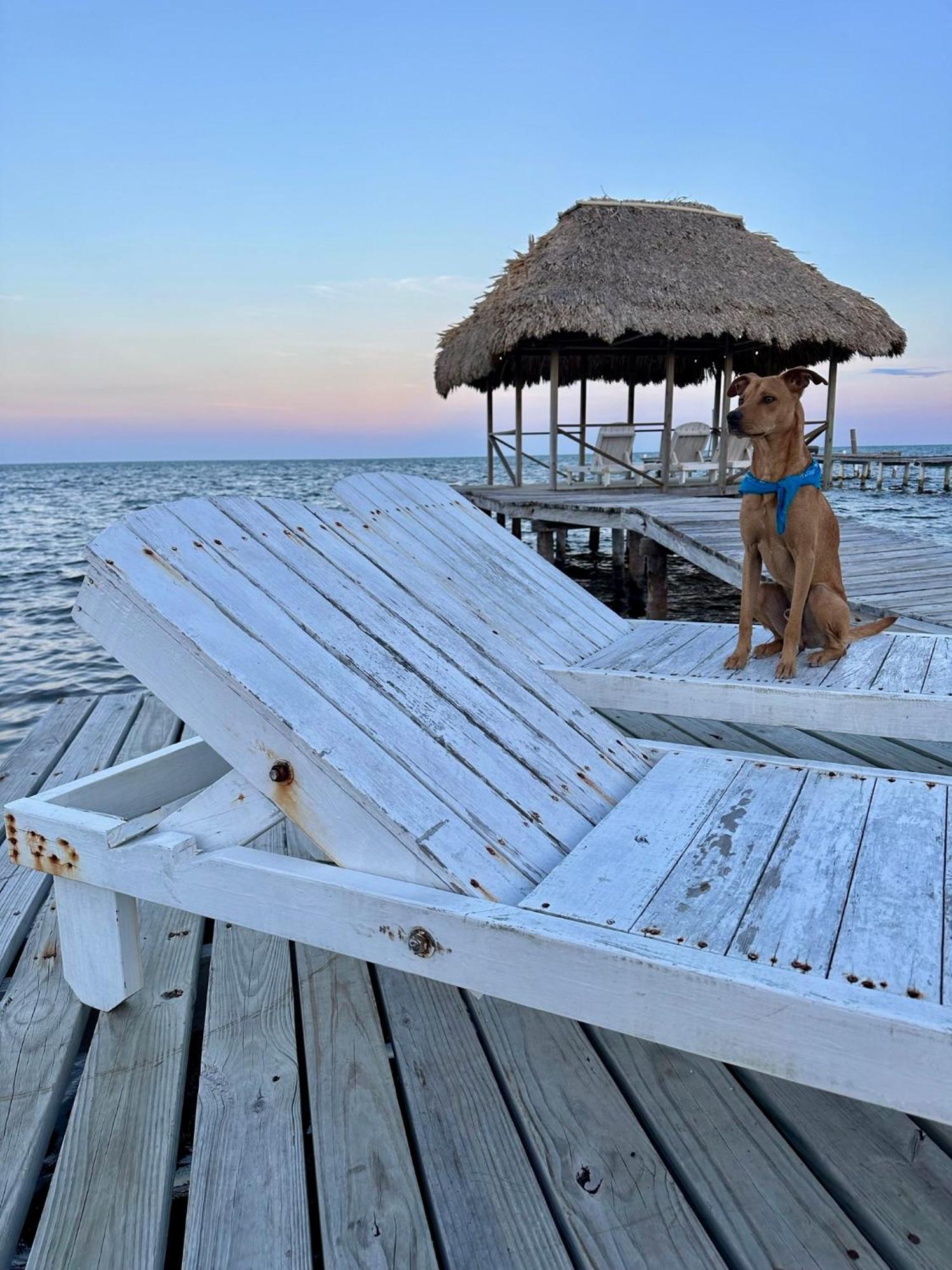 Barefoot Beach Belize 库尔克岛 外观 照片